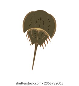 Cartoon Vector illustration horseshoe crab icon Isolated on White Background