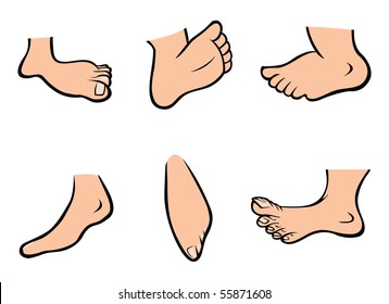 Cartoon Vector Illustration Human Feet