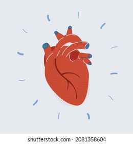 Cartoon vector illustration of Human heart on white isolated backround.