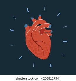 Cartoon vector illustration of Human heart on dark backround.