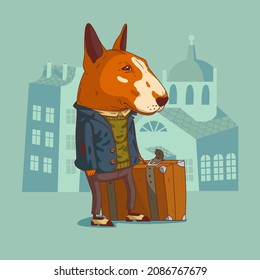 Cartoon vector illustration of humanized dog traveler. A bull terrier wearing trendy clothes holding an old style suitcase and standing against buildings' silhouettes. Animal character with human body