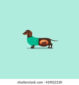 Cartoon vector illustration of icon of a happy Dachshund in a sweater the color turquoise in a flat design with fried chicken inside design, pet shop, children's books and heroes applications