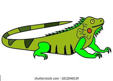 Vector de caricaturas Ilustración de una iguana.