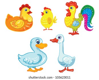 cartoon vector illustration- isolated farm birds on white background