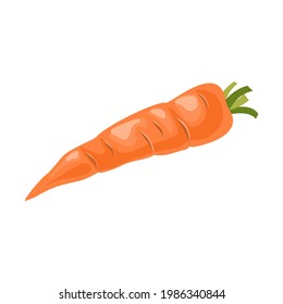 Cartoon vector illustration isolated object vegetable carrot