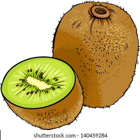 Cartoon Vector Illustration of Kiwi Fruit Food Object