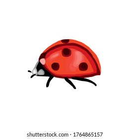Ilustración vectorial de caricatura de ladybird