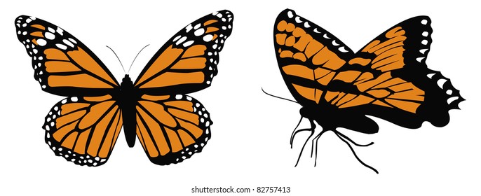 cartoon vector illustration of Monarch butterfly