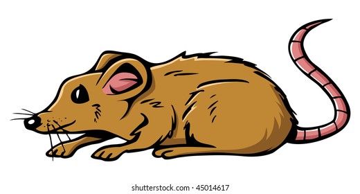 cartoon vector illustration mouse