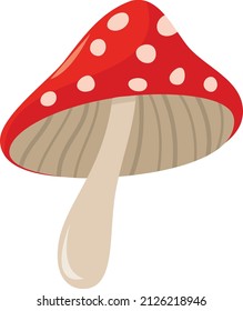 A cartoon vector illustration of mushroom.