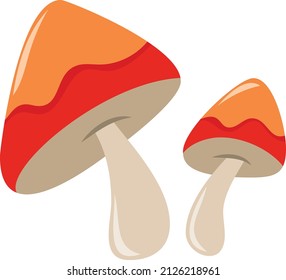 A cartoon vector illustration of mushroom.
