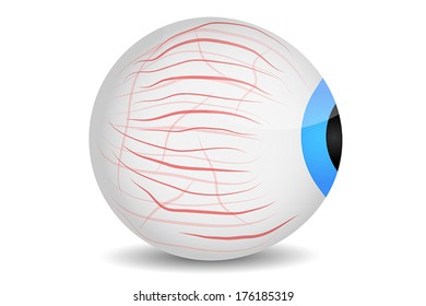 Cartoon vector illustration of naked eye with veins