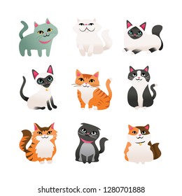 A cartoon vector illustration of nine different cute cartoon cats in various breed and color.