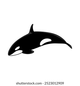 Ballena orca de Ilustración vectorial de dibujos animados