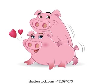 Sex in pigs in Singapore