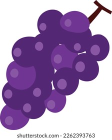 A cartoon vector illustration of purple grapes.