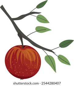 cartoon vector illustration of ripe red and yellow aplle on branch with leaves isolated on white background