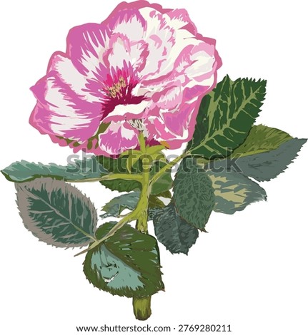 Cartoon vector illustration of a rose flower