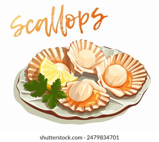 Cartoon vector illustration of scallops on a white plate icon isolated on white background. Seafood scallops plump and seared, with a golden brown crust design. A sprig of fresh parsley 