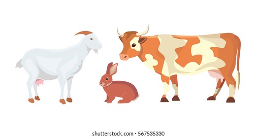 Cartoon Vector Illustration Set of Farm Animals isolated. Cow, goat ad rabbit .