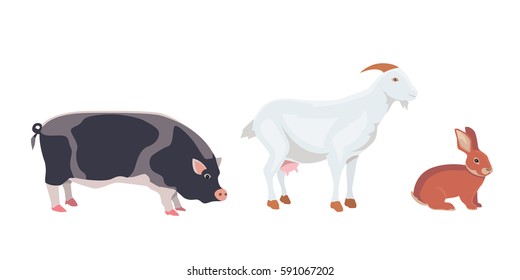 Cartoon Vector Illustration Set of Farm Animals isolated on White