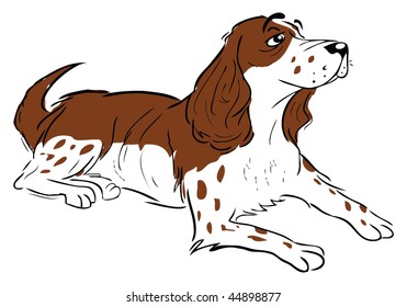 cartoon vector illustration Spaniel dog