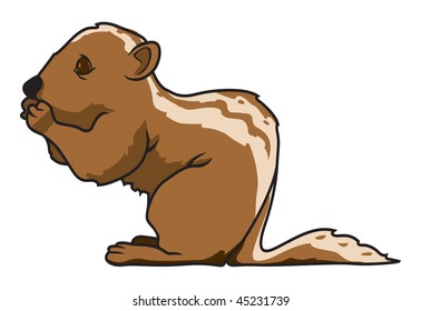 cartoon vector illustration squirrel eating
