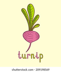 Cartoon vector Illustration of turnip