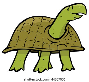 cartoon vector illustration turtle
