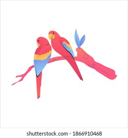 Cartoon vector illustration of two red and blue parrots ara macaw isolated on white background