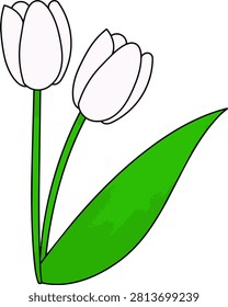 Cartoon vector illustration of two tulip flowers with leaves in a simple floral style.