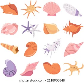 A cartoon vector illustration of various seashells set.