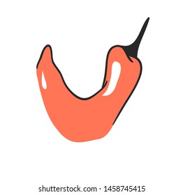 Cartoon vector illustration vegetables and fruits ABC. Hand drawn font with vegan food. Actual Creative art vegetarian alphabet. Letter V