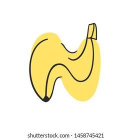 Cartoon vector illustration vegetables and fruits ABC. Hand drawn font with vegan food. Actual Creative art vegetarian alphabet. Letter N