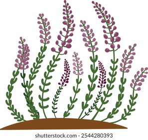 cartoon vector illustration of violet heather isolated on white background