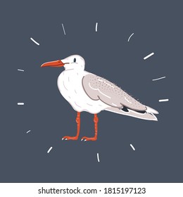 Cartoon vector illustration of white bird seagull isolated on dark background.