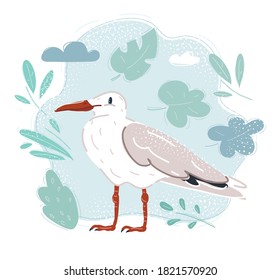 Dibujo vectorial de la gaviota blanca.