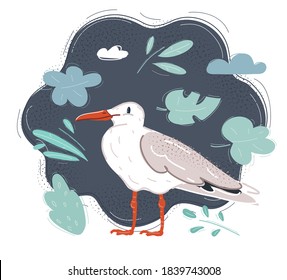 Cartoon vector illustration of white bird seagull isolated on dark