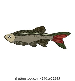 Cartoon Vector illustration White Cloud Mountain Minnow fish icon Isolated on White Background