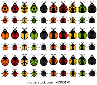 Vector de dibujos animados de ladybird, ladybug, escarabajo. Un conjunto de adorables y coloridas colecciones de iconos aislados en fondo blanco