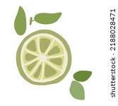 Cartoon vector lime slice. Citrus slice isolated on white background. Summer juice coctail cartoon mojito ingredients citrus green hand drawn illustration for menu, card, tshirt design