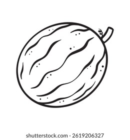 Cartoon vector line art doodle of watermelon fruit object and symbols.