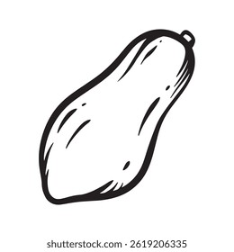 Cartoon vector line art doodle of papaya fruit object and symbols.