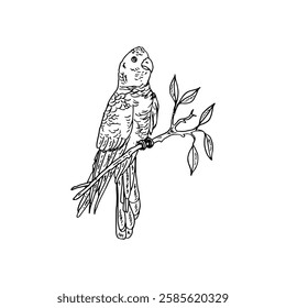 Cartoon vector line drawing of a parrot perched on a branch with leaves.