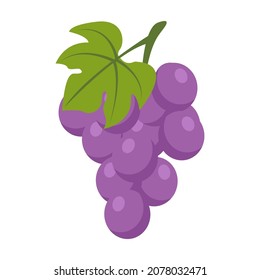 cartoon vector object fruit purple grape