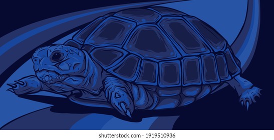 Cartoon vector on colored background turtle. vector