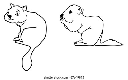 cartoon vector outline illustration of chipmunks
