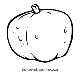 cartoon vector outline illustration pumpkin
