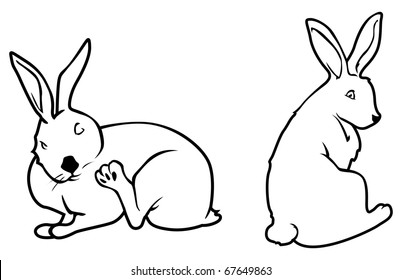 Cartoon Vector Outline Illustration Bunny Scratching Stock Vector ...