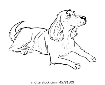 cartoon vector outline illustration Spaniel dog resting